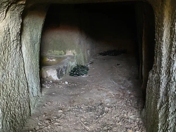 Cave troglodyte