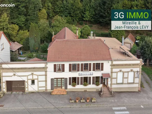 Vente pro (murs) | Local activité restauration et habitation | 500 m² | Troisfontaines 57