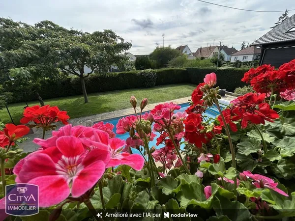 Maison Vente Sausheim 9p 220m² 649000€