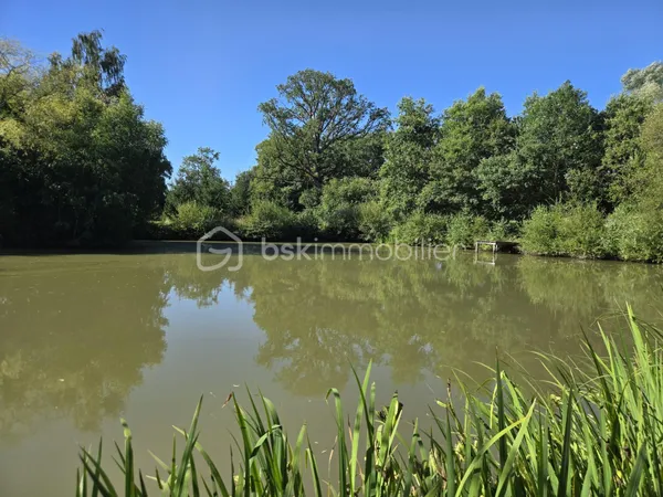 Terrain 12707 m²