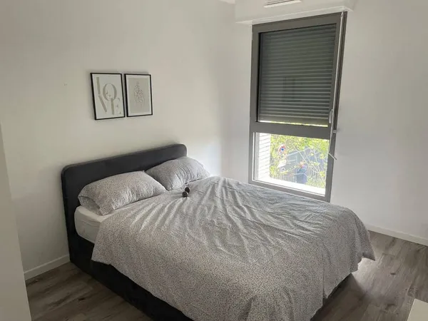 Appartement 1 pièce 81 m²