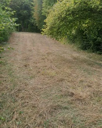 Pré enherbé à Gorze