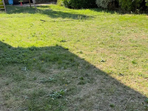 Terrain 270 m²