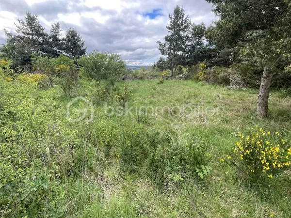 Terrain 920 m²