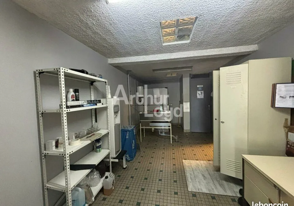 Photo 13