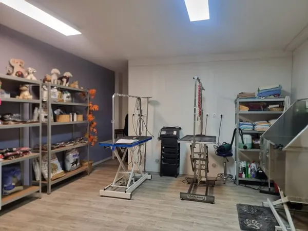Local professionnel 31 m²