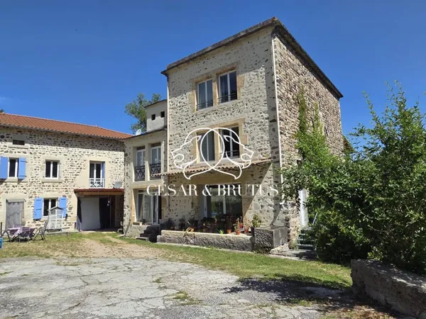 Vends maison ancienne - 343 m² - 11 pièces, 7 chambres - Saint-Vincent 43800