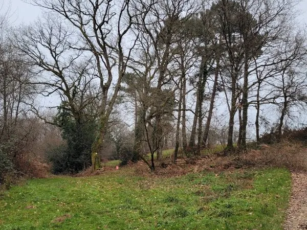 Terrain 14221 m2