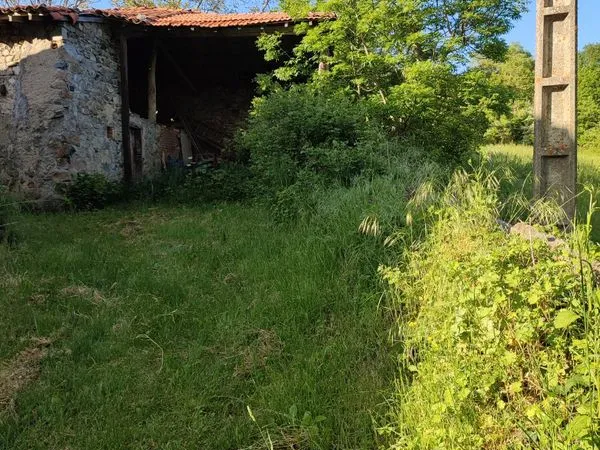 Maison Vente Champoly 1p 65m² 13000€