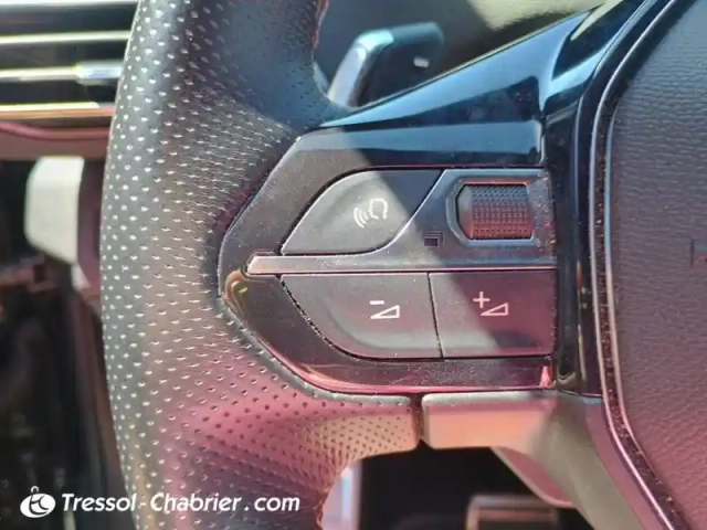 Peugeot 3008 hybrid4 300 e-eat8 gt line — photo 19