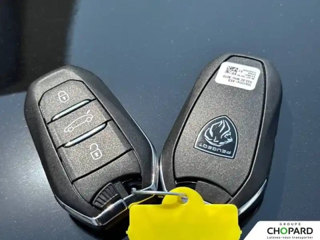 Peugeot 3008 hybrid 145 e-dcs6 — photo 21