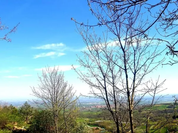 Terrain avec bâtisse