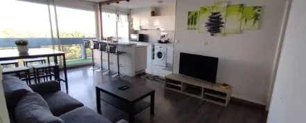 Appartement 1 pièce