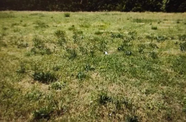 Terrain 1103 m²