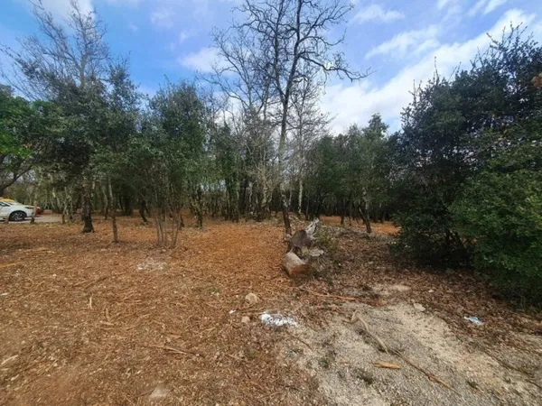 Terrain 1338 m²