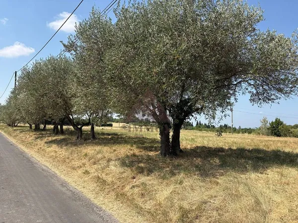 Terrain 1395 m²