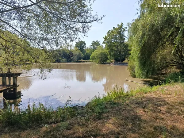 Etang de loisirs au coeur de la sologne
