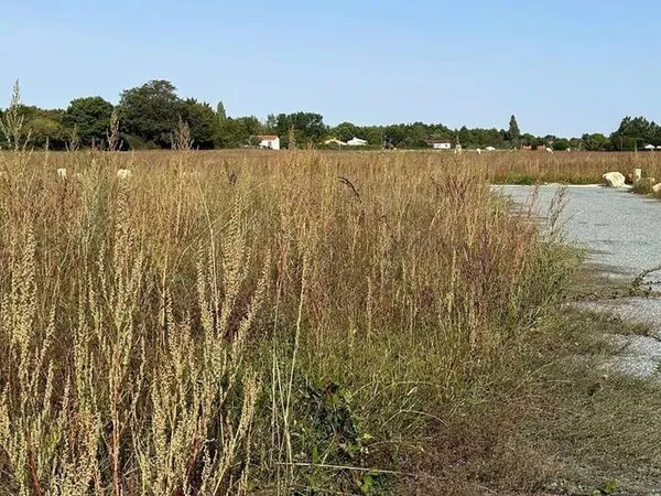Terrain 628 m²