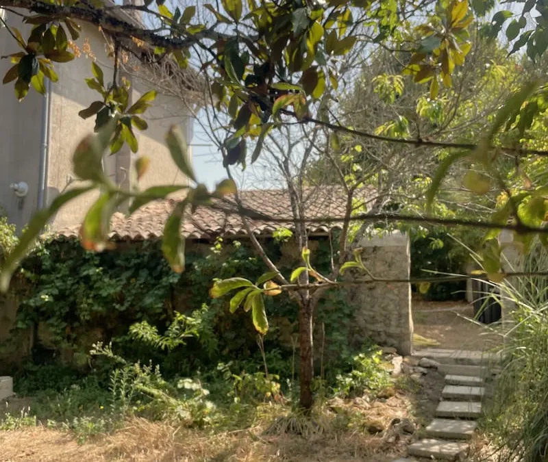 Photo 18
