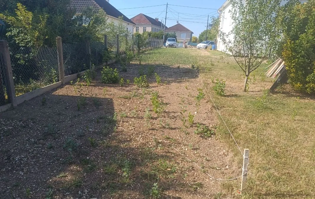 Photo 3