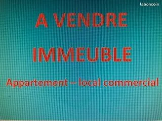 Nemours ( local commercial et appartement )
