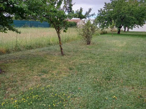 TERRAIN AMURE 1563 m²