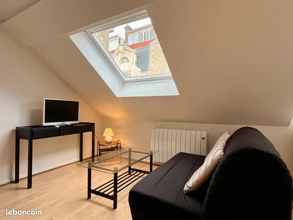T2 duplex en hypercentre - meublé et lumineux