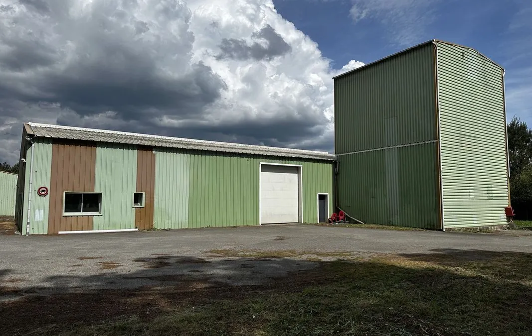 Photo 1