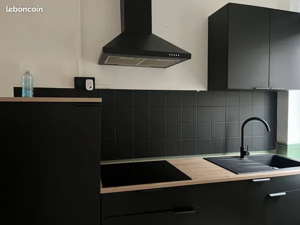 Grand appartement T2 traversant Roubaix centre