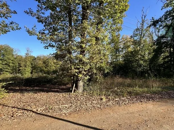89 CHEROY - Terrain à bâtir de 2018 m2 environ