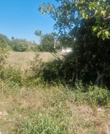 Terrain commercial