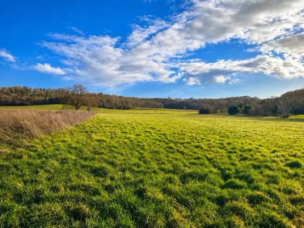 Terrain 1499 m²