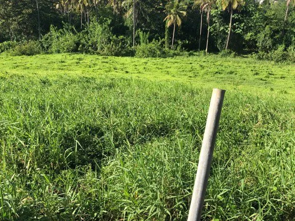 Vends terrain 2654m2 à Ducos