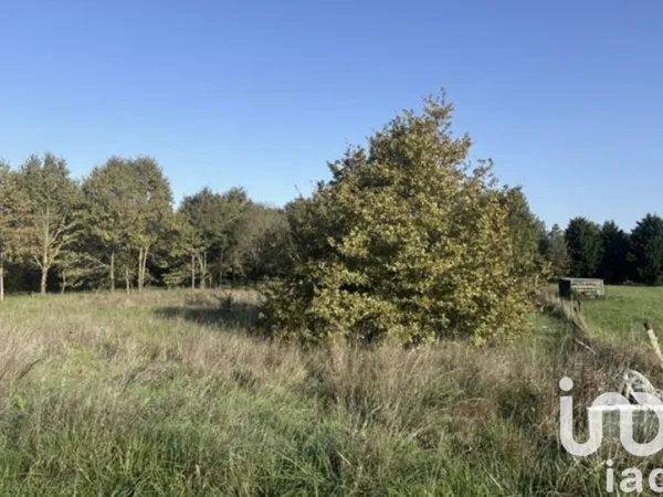 Terrain 3000 m²