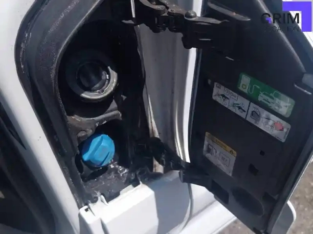 Ford Tourneo custom 320 l2h1 2.0 ecoblue 150 — photo 20