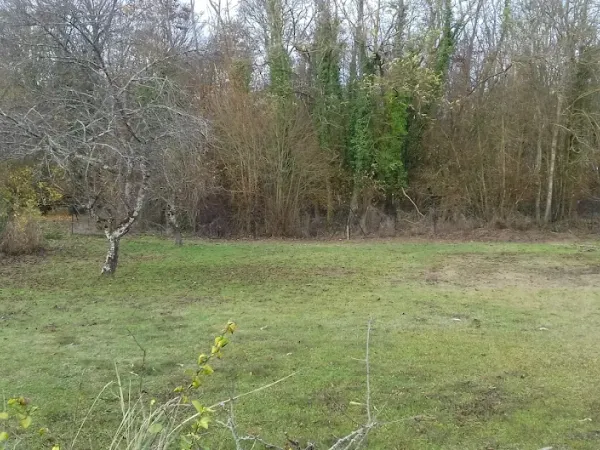 Maison neuve 5 pièces 110 m²