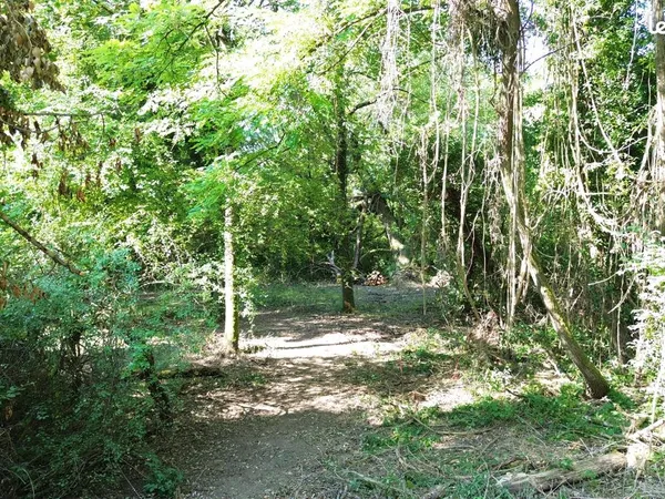 Terrain de loisir 300 m² - Maron - 10 min CHRU / 15 min Nancy