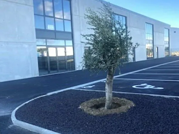 Local d'activité 408 m²