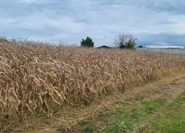Terrain 430 m² Saint Jean De Thurigneux