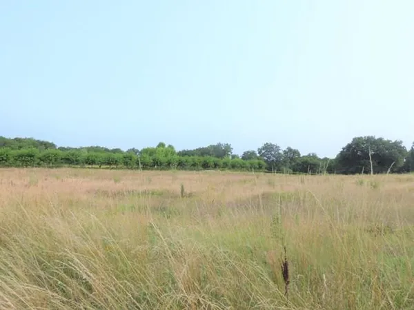 Terrain 3864 m²