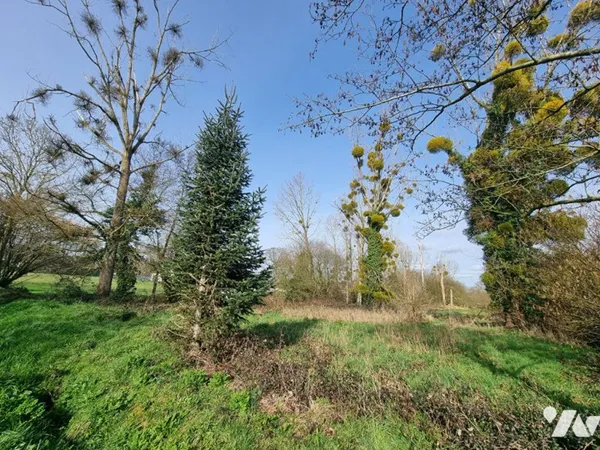 Terrain 2750 m²