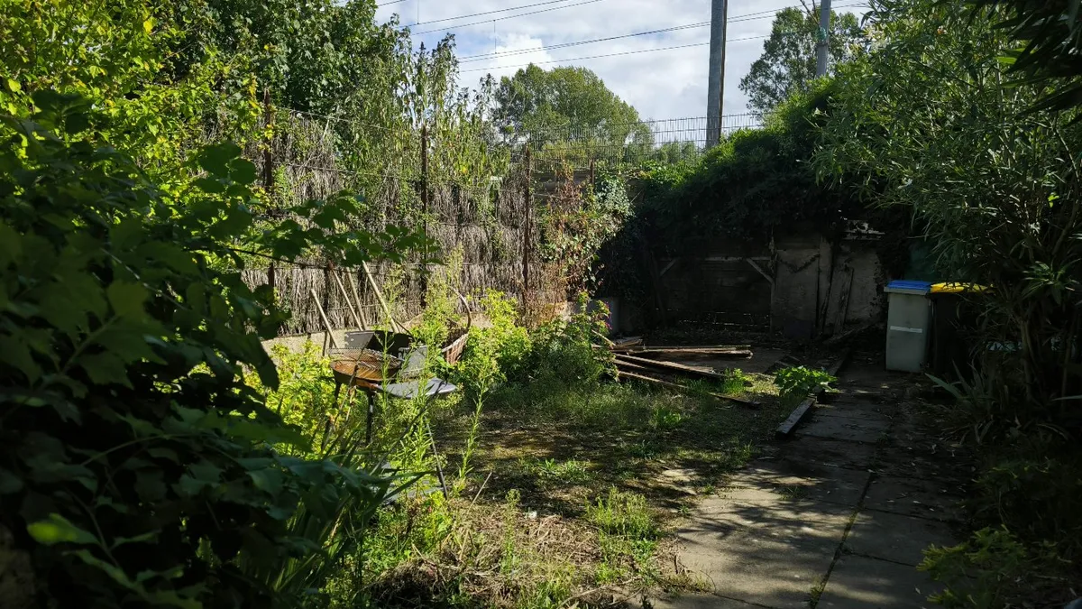 Photo 5