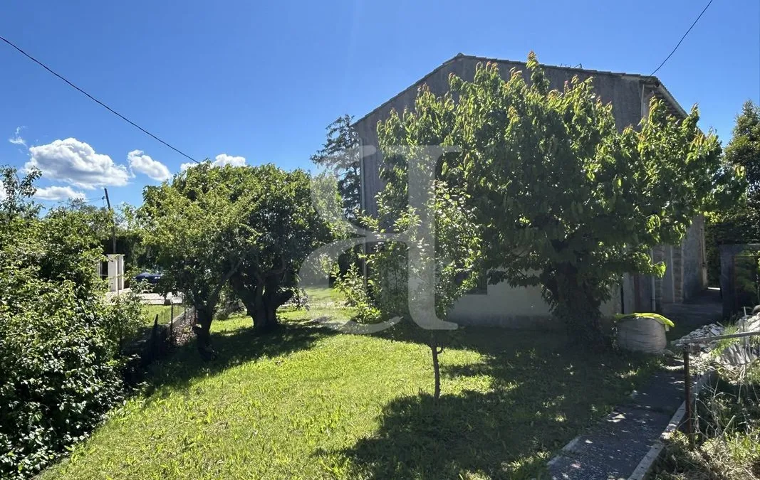 Photo 20