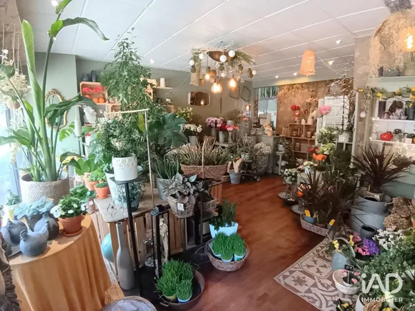 Fonds de commerce 50 m²