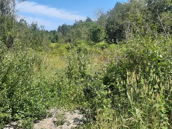 Vente terrain en futé