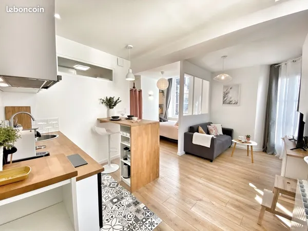Charmant studio meublé - Auxerre centre - lumineux, tout équipé - TOUTES charges inclues