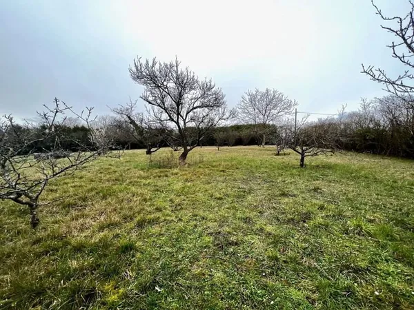 Terrain 1000 m²