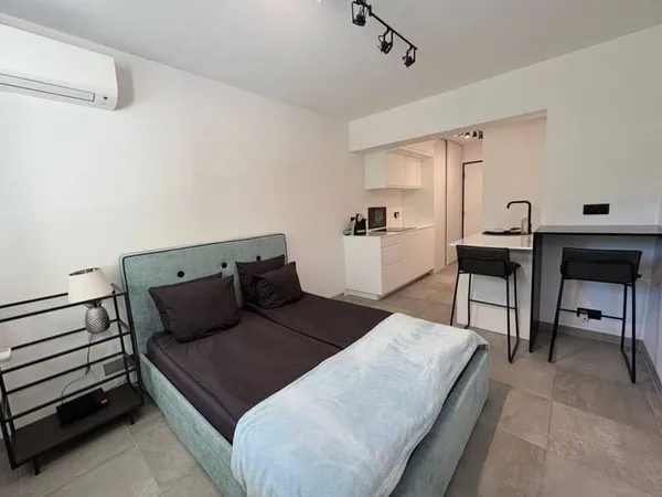 Appartement 1 pièce 20 m²