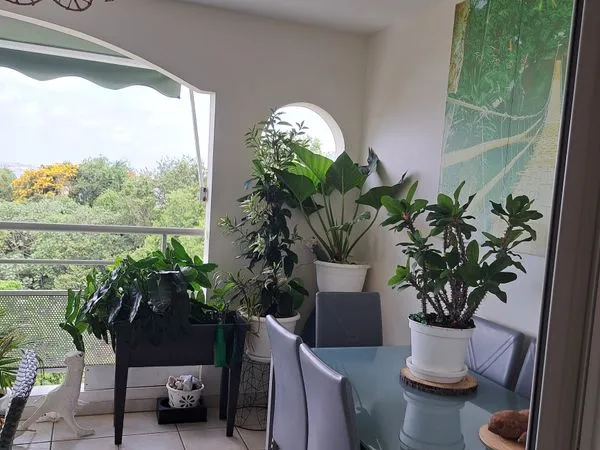 APPARTEMENT t2