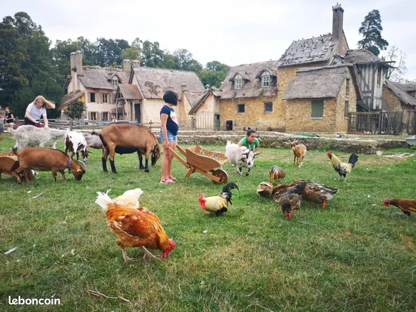 Famille recherche ferme